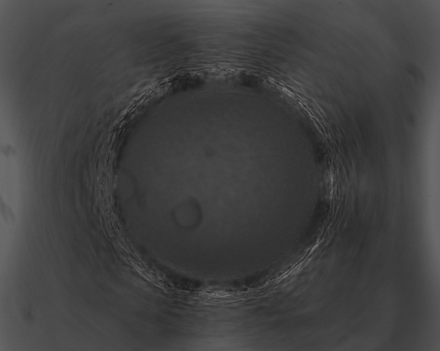 X0000090700913200708031410