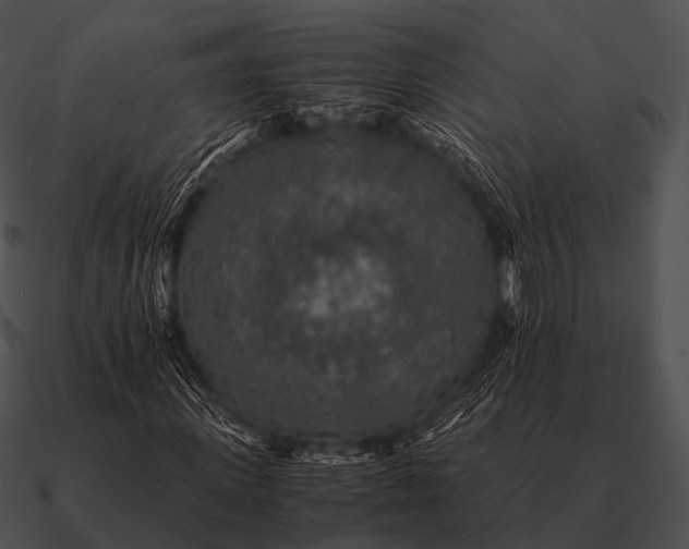 X0000090700915200708031410