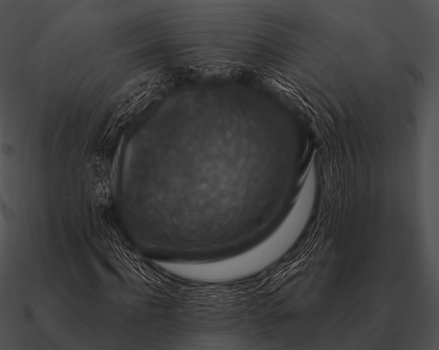 X0000090700916200708031410