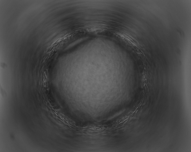 X0000090700917200708031410