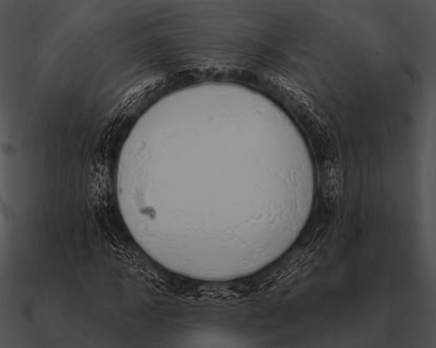 X0000090700918200708031410