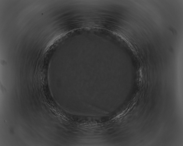 X0000090700919200708031410