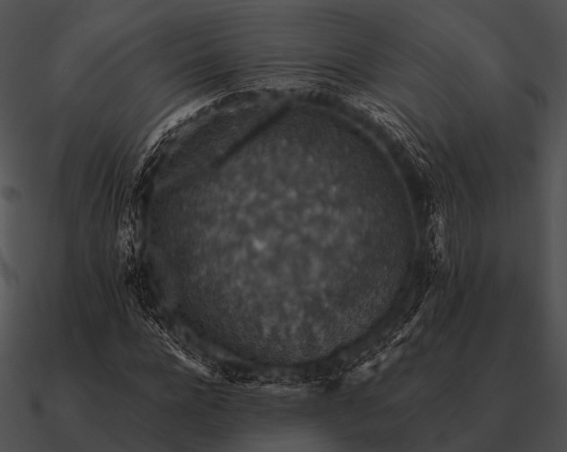 X0000090700920200708031410