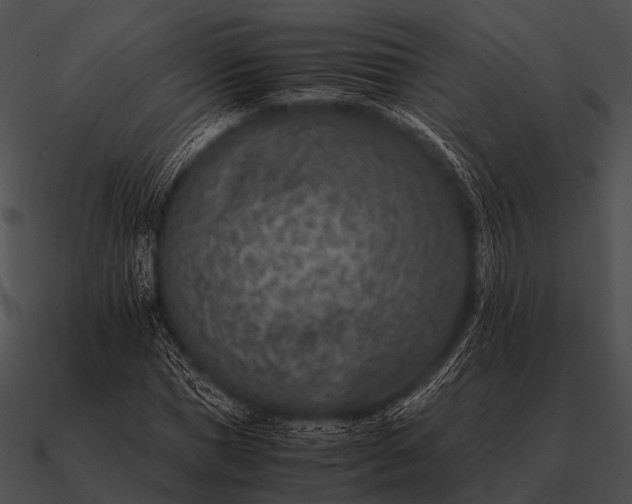 X0000090700921200708031410