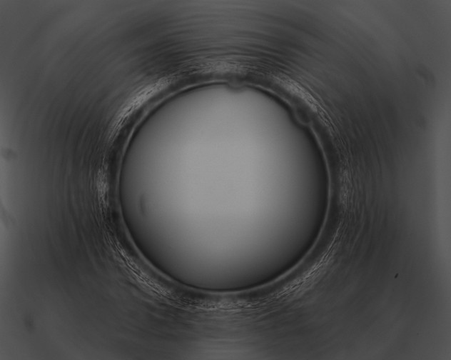 X0000090700922200708031410