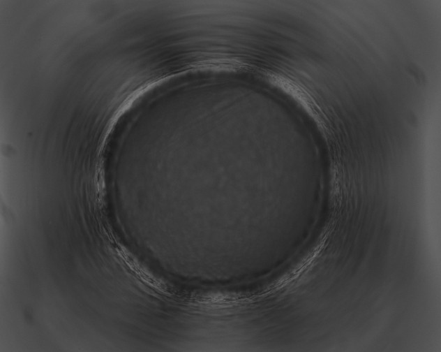 X0000090700923200708031410