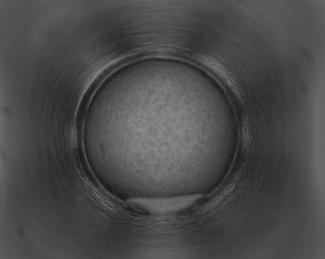 X0000090700924200708031410