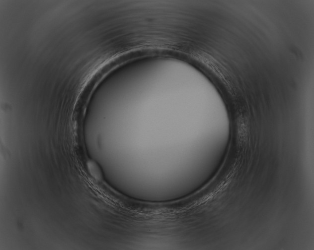 X0000090700926200708031410