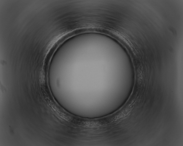 X0000090700927200708031410