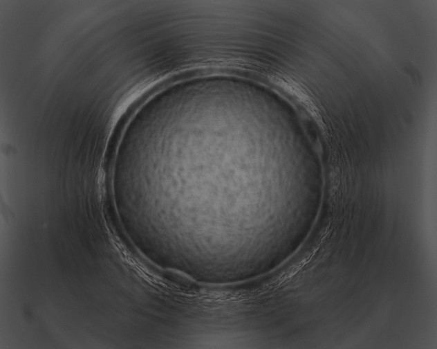 X0000090700928200708031410