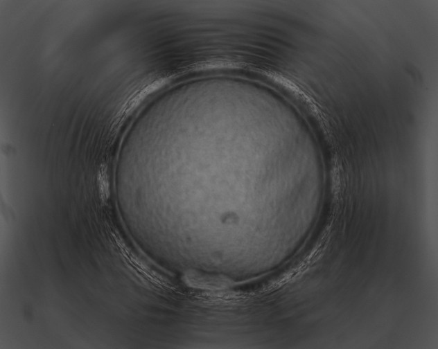 X0000090700929200708031410