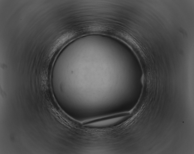 X0000090700930200708031410