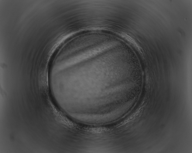 X0000090700934200708031410