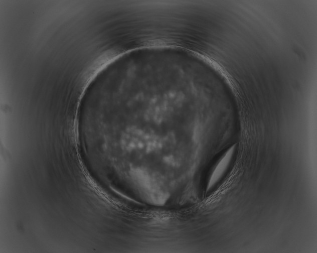 X0000090700935200708031410