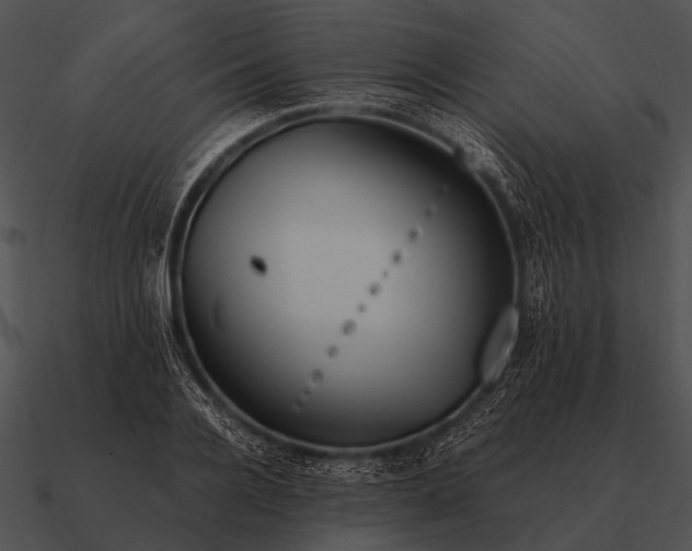 X0000090700936200708031410