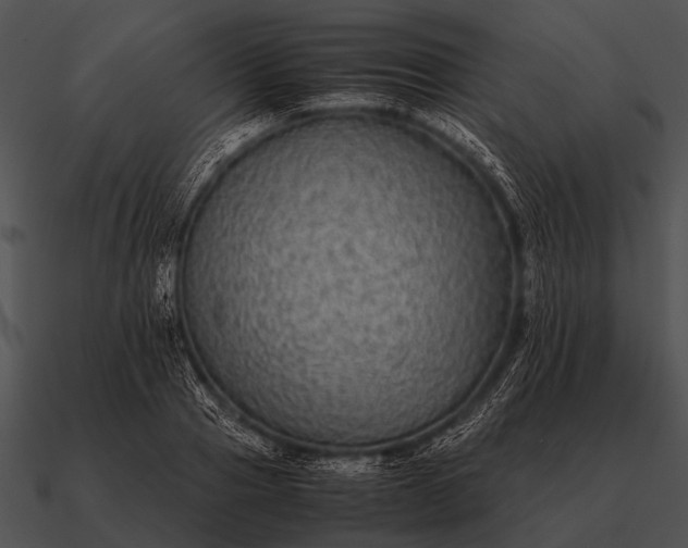 X0000090700937200708031410