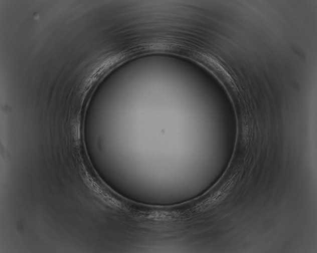 X0000090700938200708031410