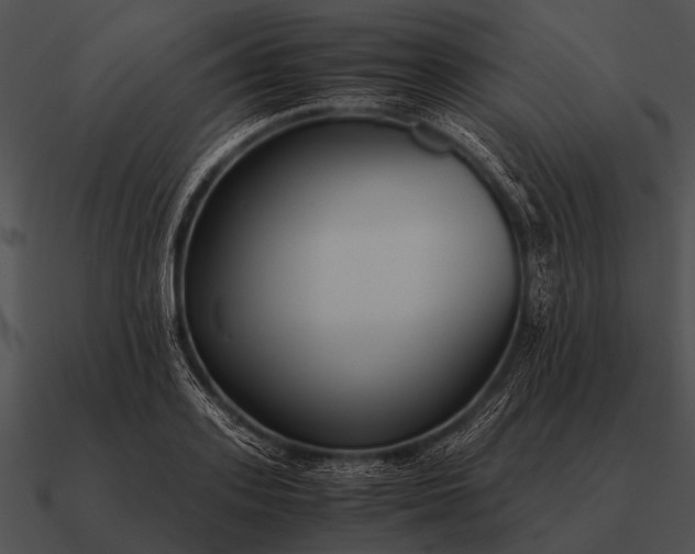 X0000090700939200708031410