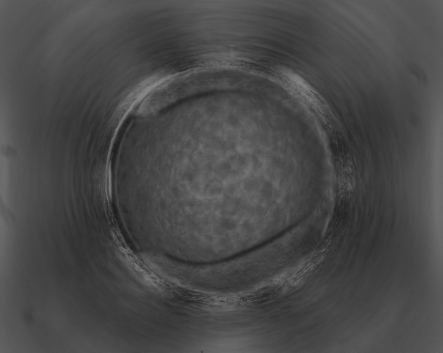 X0000090700940200708031410