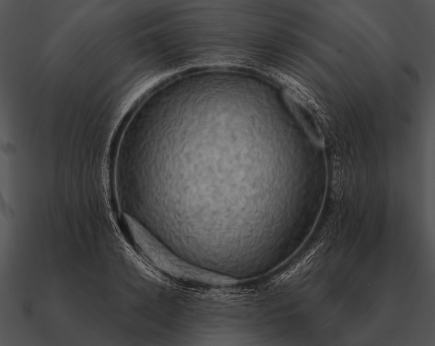 X0000090700942200708031410