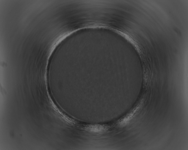 X0000090700943200708031410