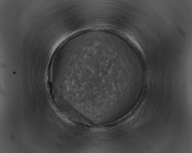 X0000090700944200708031410