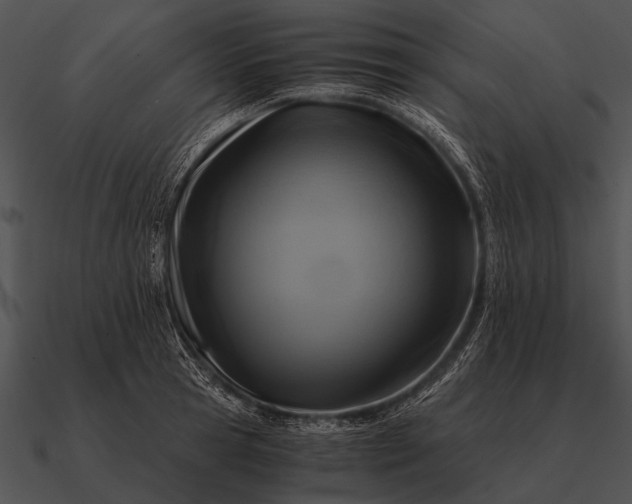 X0000090700945200708031410