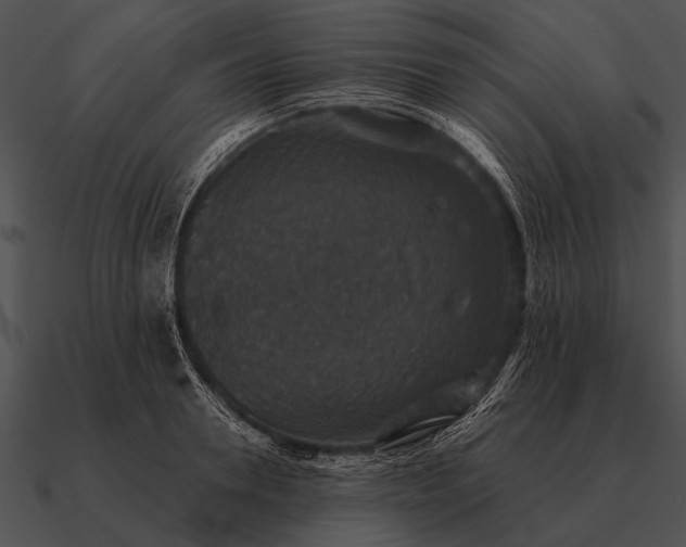 X0000090700946200708031410