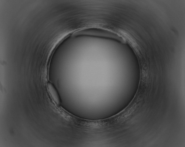 X0000090700948200708031410