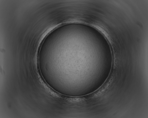 X0000090700949200708031410