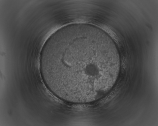 X0000090700950200708031410