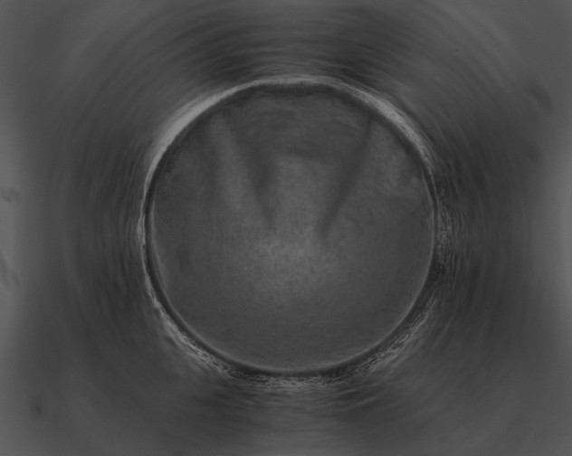 X0000090700951200708031410