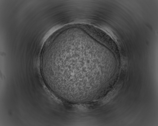 X0000090700952200708031410