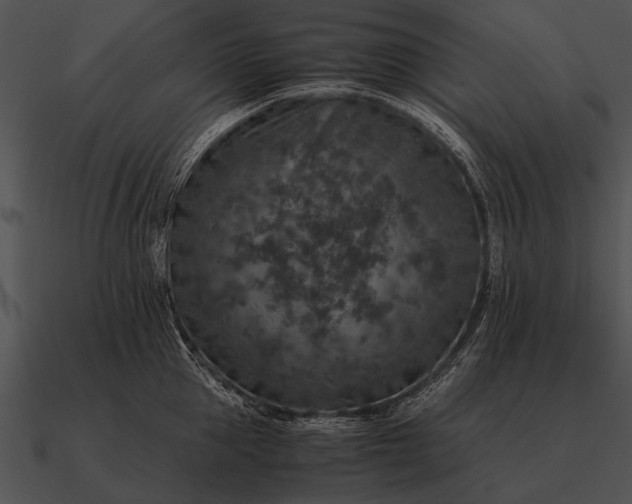 X0000090700953200708031410