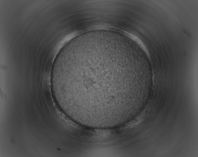 X0000090700954200708031410