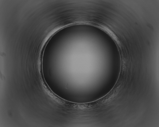 X0000090700955200708031410