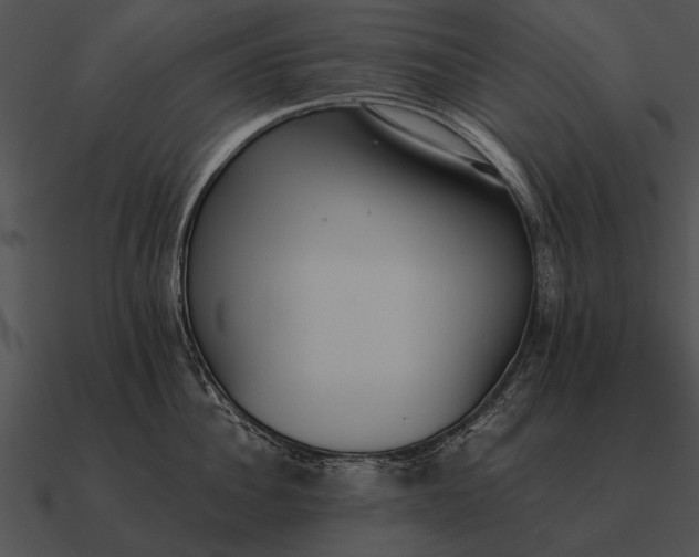 X0000090700956200708031410