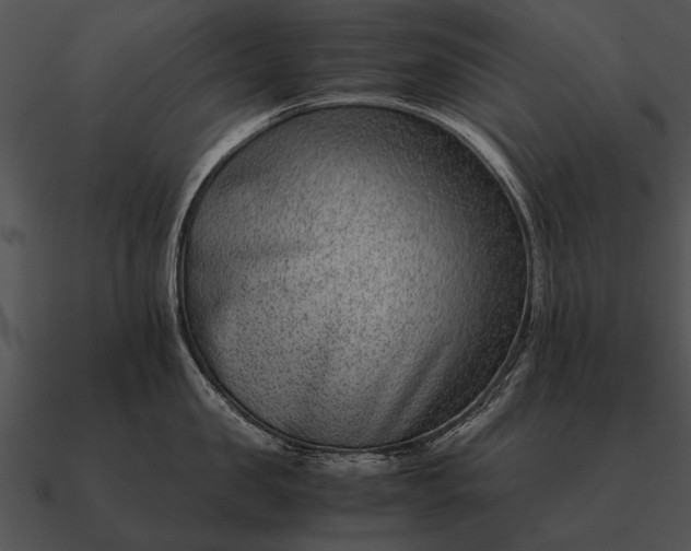 X0000090700957200708031410