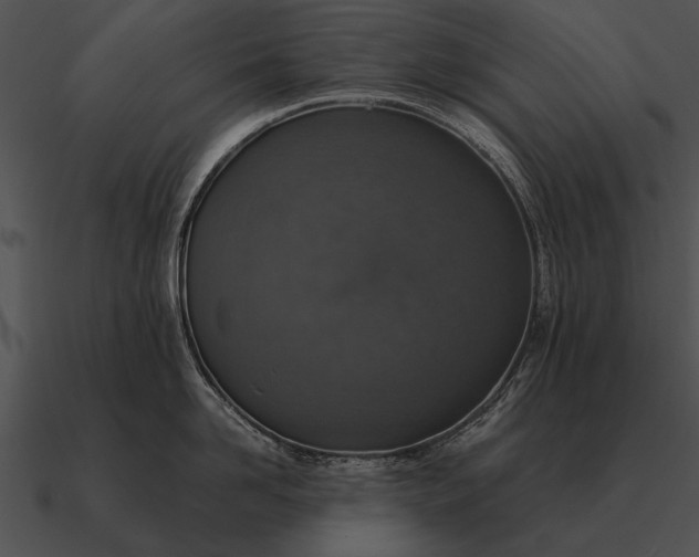 X0000090700958200708031411