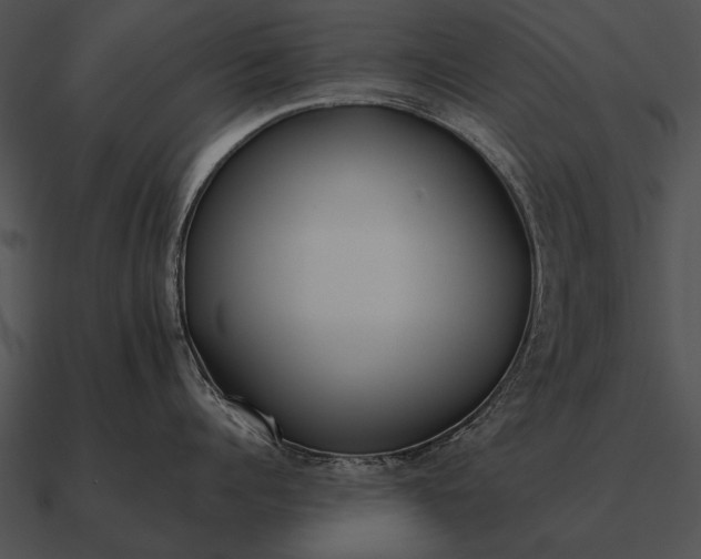 X0000090700960200708031411