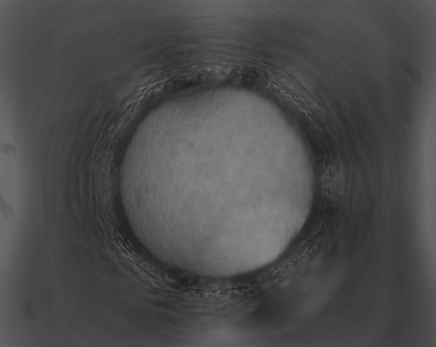 X0000090700961200708031410