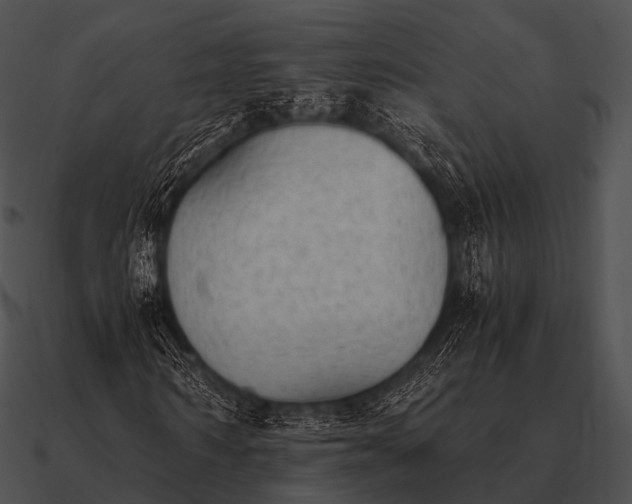 X0000090700962200708031410