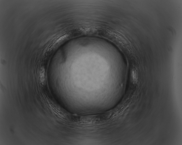 X0000090700963200708031410