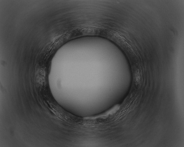 X0000090700964200708031410