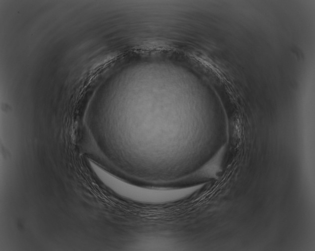 X0000090700965200708031410