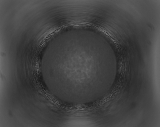 X0000090700966200708031410