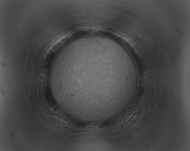 X0000090700967200708031410