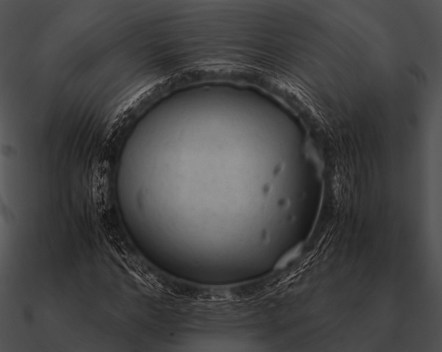 X0000090700968200708031410