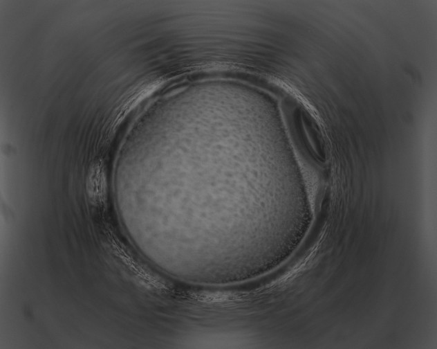 X0000090700969200708031410