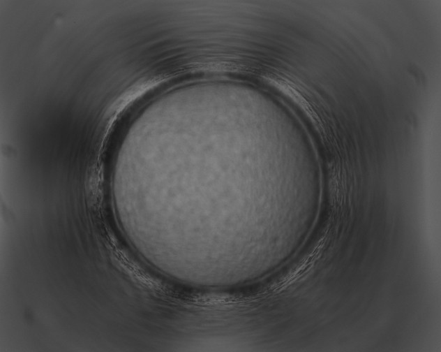 X0000090700971200708031410